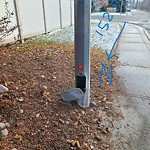 Streetlight Maintenance at 8205 152 St Nw, Edmonton T5 R 1 L2