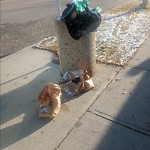 Overflowing Garbage Cans at 21003 60 Avenue NW