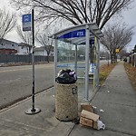 Overflowing Garbage Cans at 5203 205 Street NW