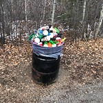 Overflowing Garbage Cans at 10 Rabbit Hill Road NW