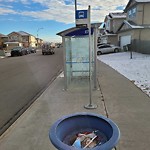 Overflowing Garbage Cans at 290 Fraser Way NW