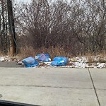 Litter Public Property at 10904 88 Avenue NW