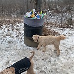 Overflowing Garbage Cans at 10 Rabbit Hill Road NW