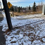 Streetlight Maintenance at 11515 113 Avenue NW