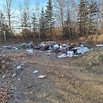 Litter Public Property at N53.51 E113.36