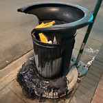 Overflowing Garbage Cans at 10933 124 Street NW