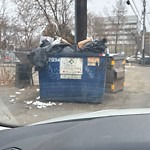 Overflowing Garbage Cans at 10235 124 Street NW