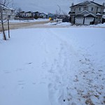 Winter Sidewalk Concern at 5946 164 Avenue NW