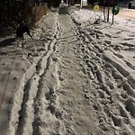 Winter Sidewalk Concern at 11229 96 Street NW