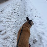 Winter Sidewalk Concern at 3903 76 Street NW