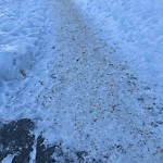 Winter Sidewalk Concern at 10038 110 Street NW