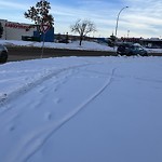 Winter Sidewalk Concern at 10375 51 Ave Nw, Edmonton T6 H 5 H4