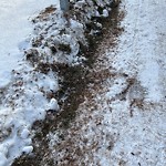 Winter Sidewalk Concern at 2304 Rutherford Way SW