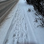 Winter Sidewalk Concern at 10345 149 Street NW