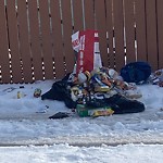 Litter Public Property at 11337 119 Street NW