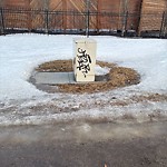 Graffiti Public Property at 3840 76 Avenue NW