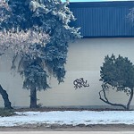 Graffiti Public Property at 10849 81 Avenue NW