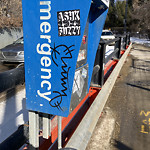 Graffiti Public Property at High Level Bridge