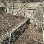 Graffiti Public Property at 10380 Queen Elizabeth Park Road NW