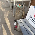 Transit Maintenance at 10604 75 Street NW