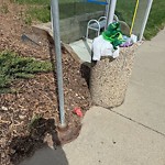 Transit Maintenance at 4504 105 A Avenue NW