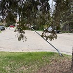 Traffic Sign at 10525 72 Avenue NW