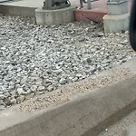 Transit Maintenance at 5015 111 Street NW