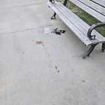 Transit Maintenance at 99 Street & 92 Avenue, Edmonton, Ab T6 E 3 V9, Canada