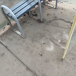 Transit Maintenance at 17310 90 Avenue NW