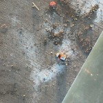 Transit Maintenance at 17310 90 Avenue NW
