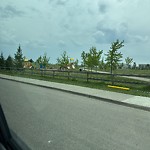 Traffic Sign at 109 Ebbers Boulevard NW