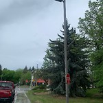 Traffic Sign at 11605 87 Avenue NW