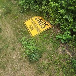 Traffic Sign at N53.54 E113.51
