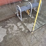 Transit Maintenance at 9505 118 Avenue NW