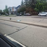 Traffic Sign at 8708 149 Street NW
