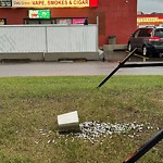 Litter Public Property at 4205 23 Avenue NW