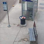 Overflowing Garbage Cans at 10235 101 Street NW