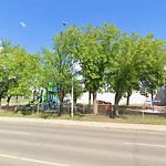 Overgrown Trees - Public Property at 11624 81 St Nw, Edmonton T5 B 2 S1