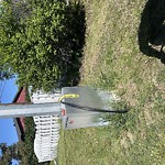 Streetlight Maintenance at 10512 54 Avenue NW
