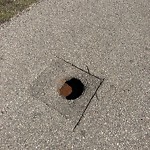Potholes at 6504 25 Avenue SW