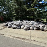 Park Grass Maintenance at 504 Ronning Street NW