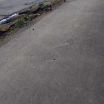 Shared Use Path - Walk/Bike/Run/Scoot/Blade at 3809 111 A Street NW