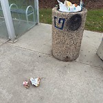 Overflowing Garbage Cans at 9627 52 Street NW