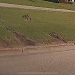 Turf Damage at 4208 Gateway Boulevard NW