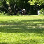 Tree/Branch Damage - Public Property at 12030 River Valley Road NW