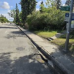 Potholes at 10128 142 Street NW