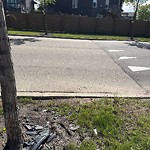Litter Public Property at 315 Charlesworth Drive SW