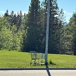 Litter Public Property at 7008 Fulton Drive NW