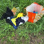 Litter Public Property at 6910 172 Street NW