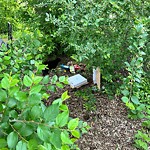 Litter Public Property at 7535 112 Street NW